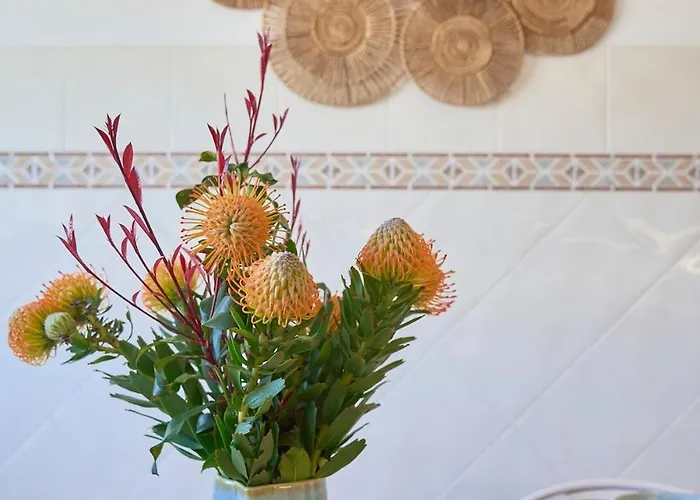 Apartment Vieira House With Sea View Vieira de Leiria
